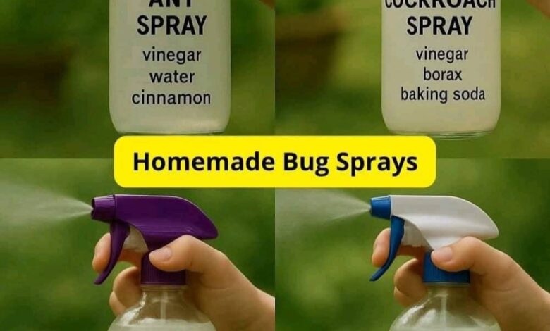 🪰 Cockroach Control Spray FB IMG 1747576818662