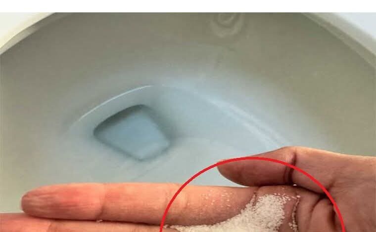 Put salt in your toilet. Here’s why FB IMG 1755428535055