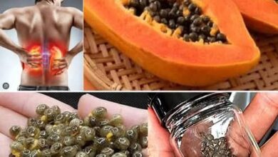 FB IMG 1764358496989