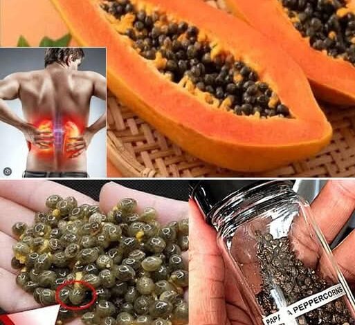 The Powerful Health Benefits of Papaya Seeds: Why You Should Include Them in Your Diet FB IMG 1764358496989