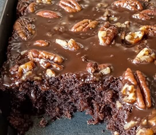 FB IMG 1764984312319