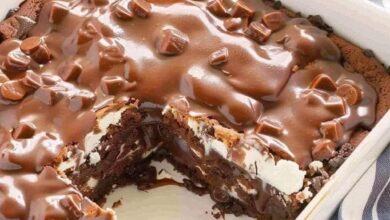 Mississippi Mud Cake Recipe FB IMG 1765671594694