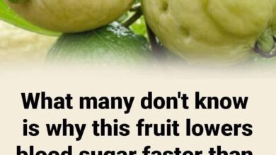 FB IMG 1765980949078