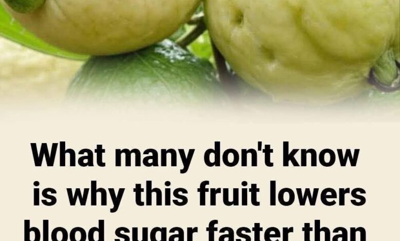 Guava Helps Maintain Blood Sugar Balance FB IMG 1765980949078