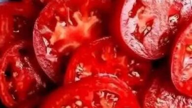 Enchanted Tomato Salad with Green Herbs FB IMG 1766101548166