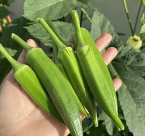 FB IMG 1766352727970