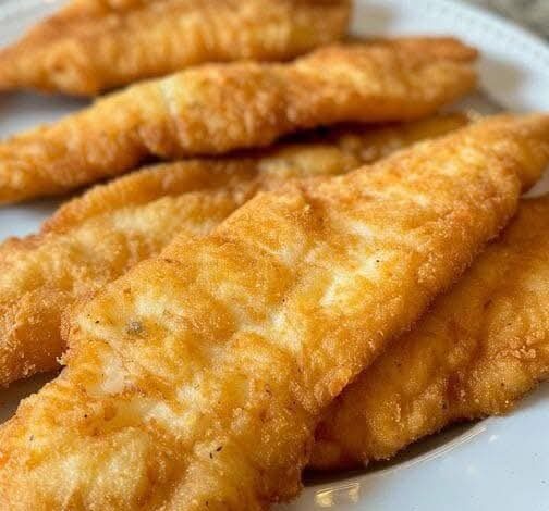 FB IMG 1766361442541