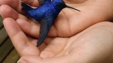 FB IMG 1767646624881