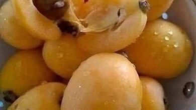 FB IMG 1768132109603