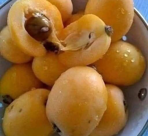 FB IMG 1768132109603