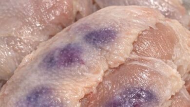 FB IMG 1769299885493