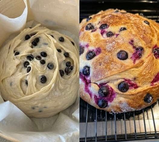 FB IMG 1769512524262