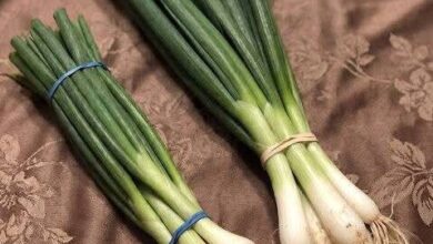 FB IMG 1770579728061