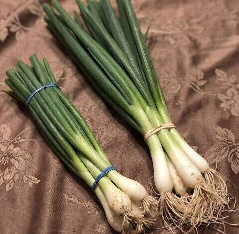 FB IMG 1770579728061