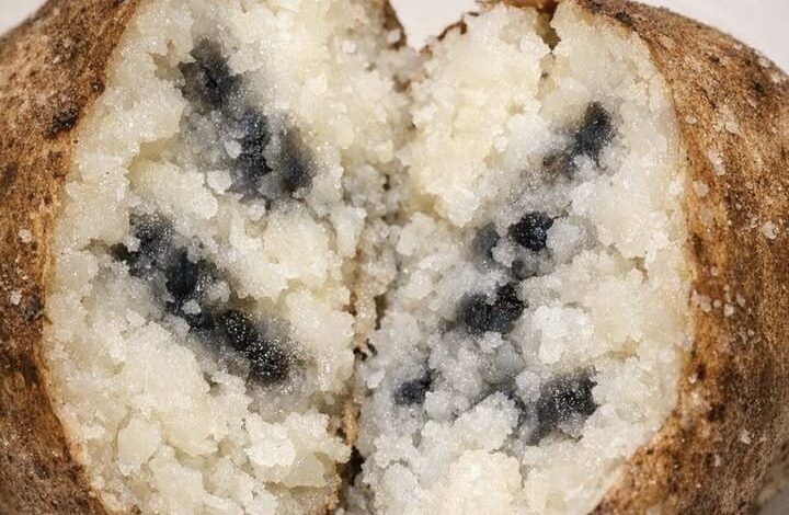 I baked a large russet potato for dinner, but after slicing it open, I found these dark grey streaks and spots inside the flesh. It’s not hollow, just discolored. Is this safe to eat? IMG 0295